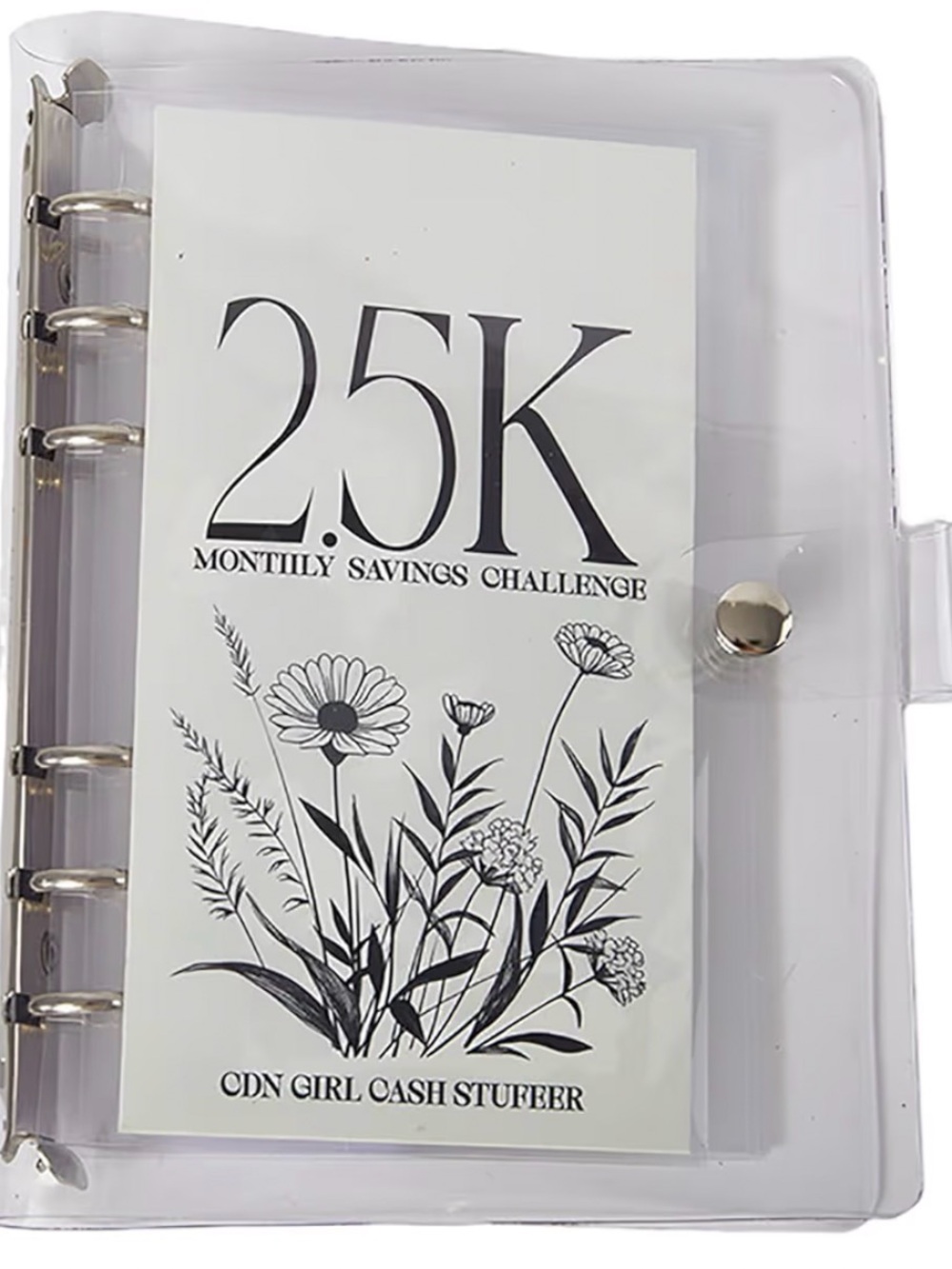 $2.5k Monthly savings challenge